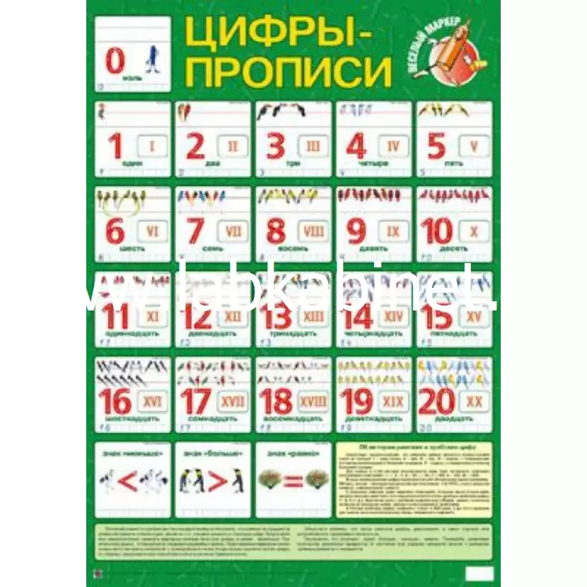 Серия детских плакатов "Веселый маркер" "Цифры-прописи"