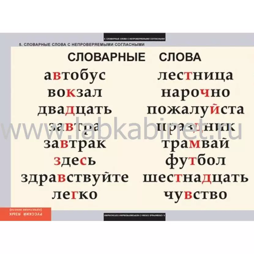 Комплект таблиц «Словарные слова» — 8 таблиц для занятий по русскому языку