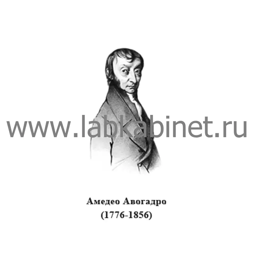 Портрет Амедео Авогадро для кабинета химии и изучения истории молекулярной физики