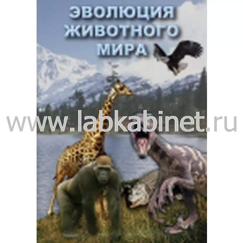 Видеофильм «Эволюция животного мира» для учебных занятий по биологии