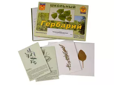Гербарий   "Лекарственные растения" (22 вида, с иллюстрациями)