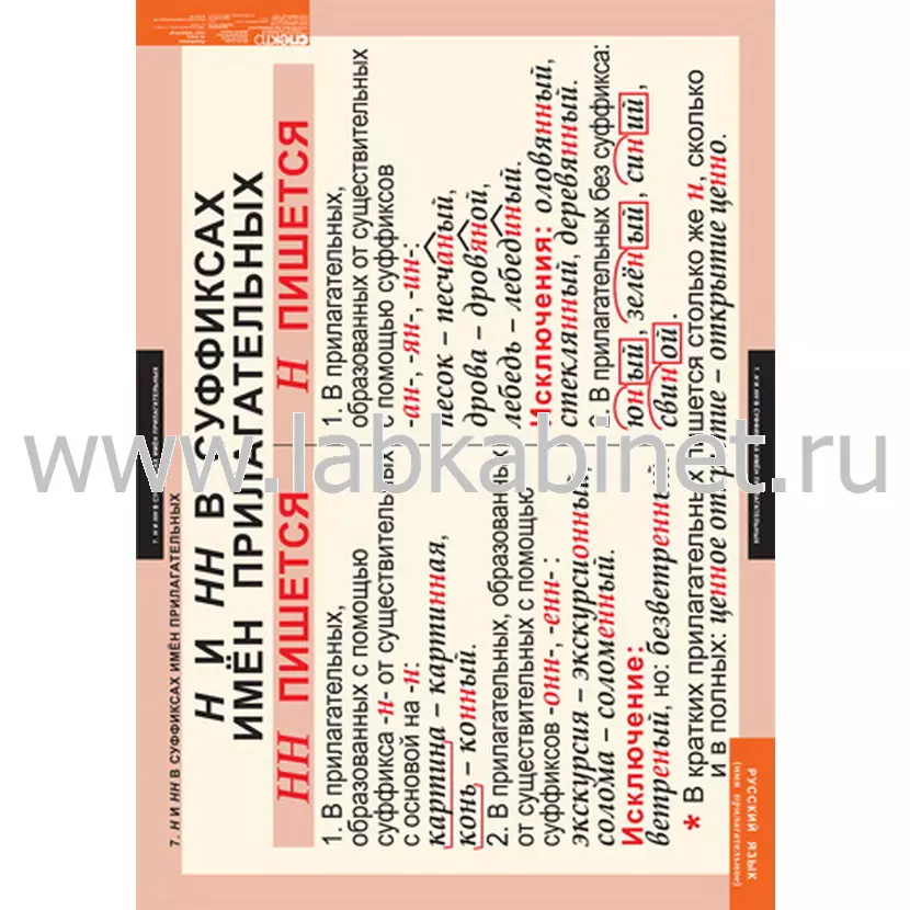 Русский язык. Имя прилагательное, 9 таблиц