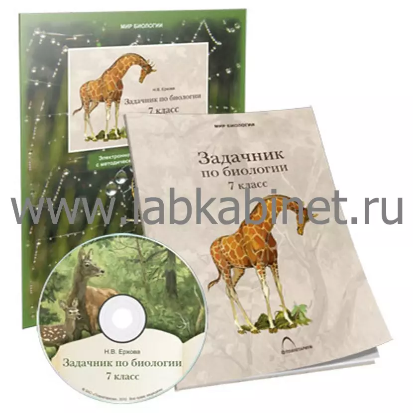 Электронное наглядное пособие, Задачник 7 класс