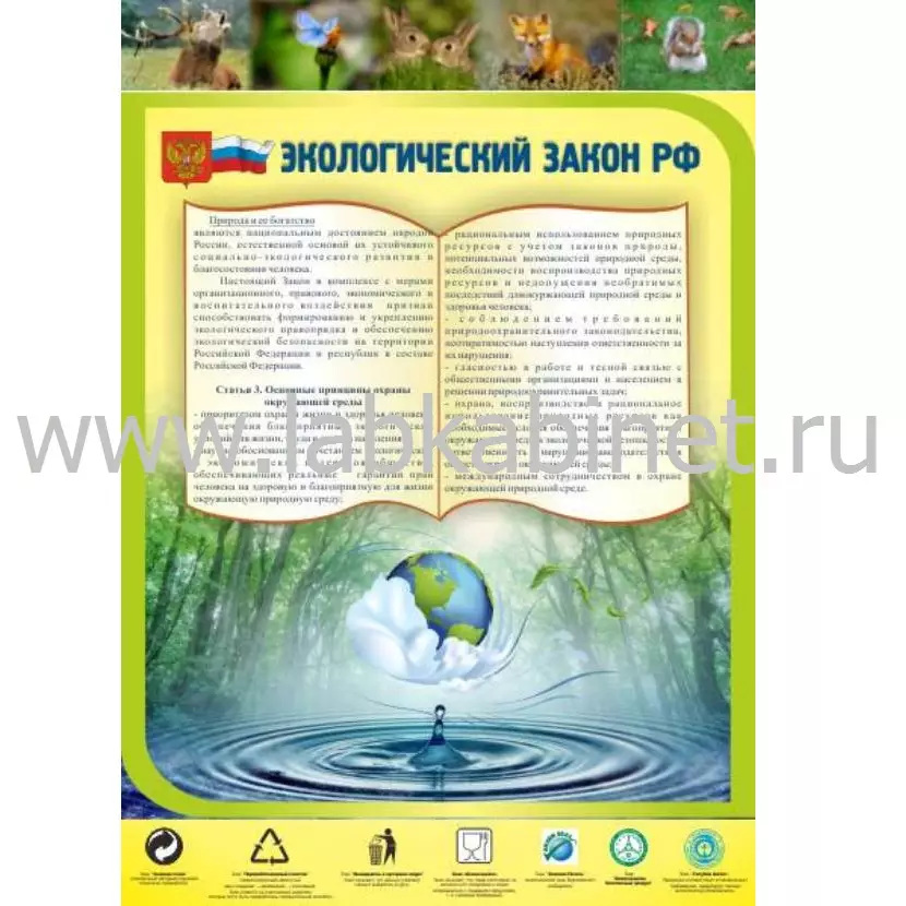 Таблица «Экологический закон РФ» для экологического образования, размер 0,7×1 м