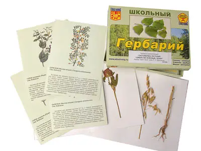 Гербарий   "Систематика растений. Семейство Бобовые. Злаки" (раздаточный)
