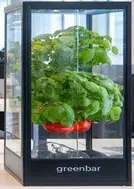 Настольная цифровица Greenbar XX1 для демонстрационных и учебных задач