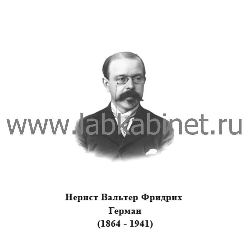 Портрет Вальтера Нернста для кабинета химии и изучения истории физической химии