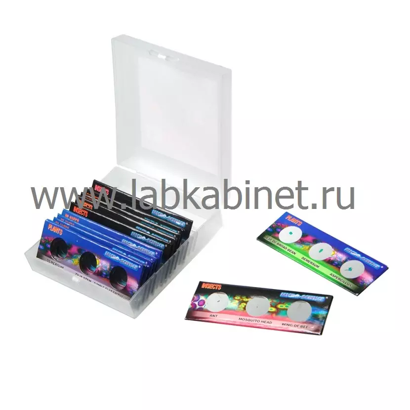 Микропрепараты, комплект из 36 образцов, для изучения биологии