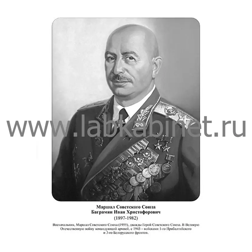 Портрет Ивана Баграмяна для кабинета истории и изучения выдающихся военачальников