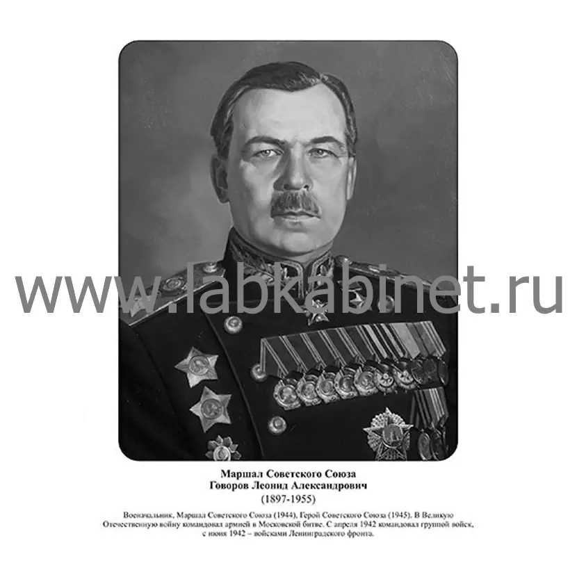 Портрет Леонида Говорова для кабинета истории и изучения выдающихся советских военачальников