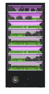 Цифровая ситиферма для выращивания микрозелени Greenbar ПАК MZ_PRO-16