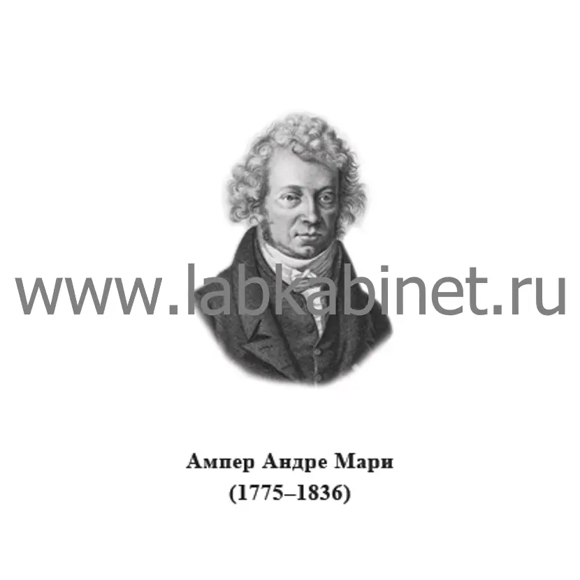 Портрет Андре-Мари Ампера для кабинета физики и изучения истории электродинамики