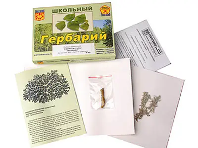 Гербарий   "Водоросли. Грибы. Лишайники" (раздаточный)