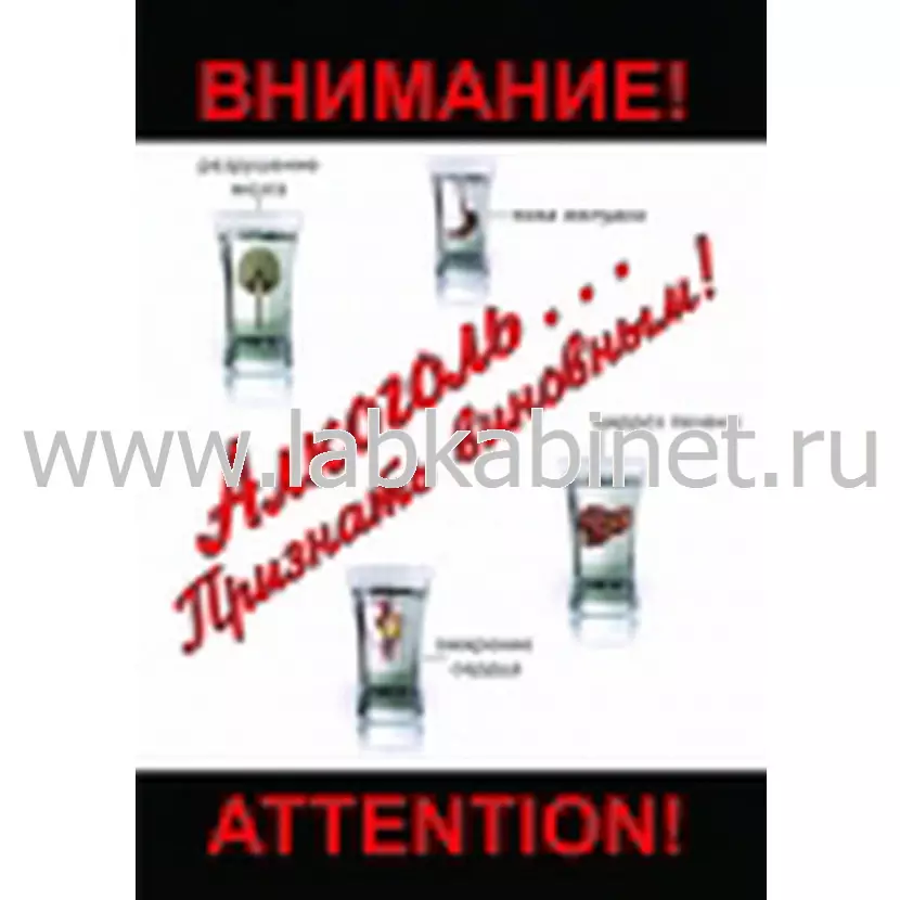 Учебный видеофильм «Алкоголь: признать виновным»