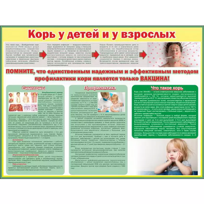 Стенд "Корь у детей и взрослых", 1,2х0,9