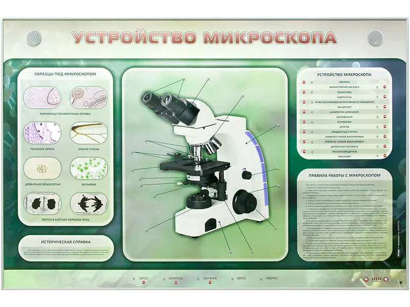 Электрифицированный стенд "Устройство микроскопа и правила работы c ним"