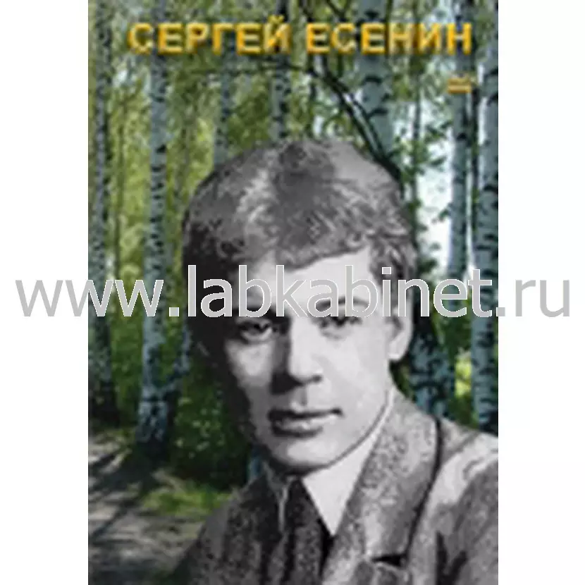 Видеофильм «Сергей Есенин» для занятий по литературе