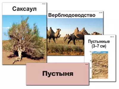 купить магнитный плакат-аппликации
магнитный плакат-аппликация купить
купить наглядное пособие по окружающему миру
наглядное пособие +мы познаем окружающий мир
наглядное пособие +по окружающему миру 3 класс
наглядное пособие окружающий мир
наглядное пособие по окружающему миру
наглядное пособие по окружающему миру купить
наглядные пособия +по окружающему миру 1 класс
окружающий мир наглядные пособия
модель аппликация природные зоны россии
модель-аппликация природные зоны россии
модель-аппликация природные зоны россии (ламинированная)
модель-аппликация природные зоны россии ламинированная
