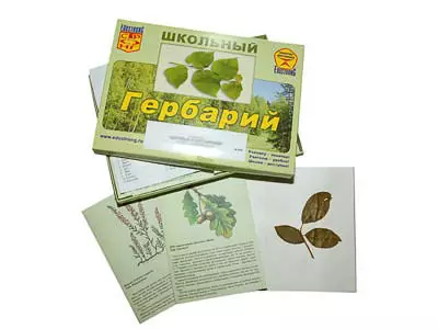 Гербарий   "Дикорастущие растения" (30 видов, с иллюстрациями)