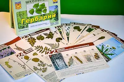 Гербарий к курсу основ общей биологии для учебных занятий