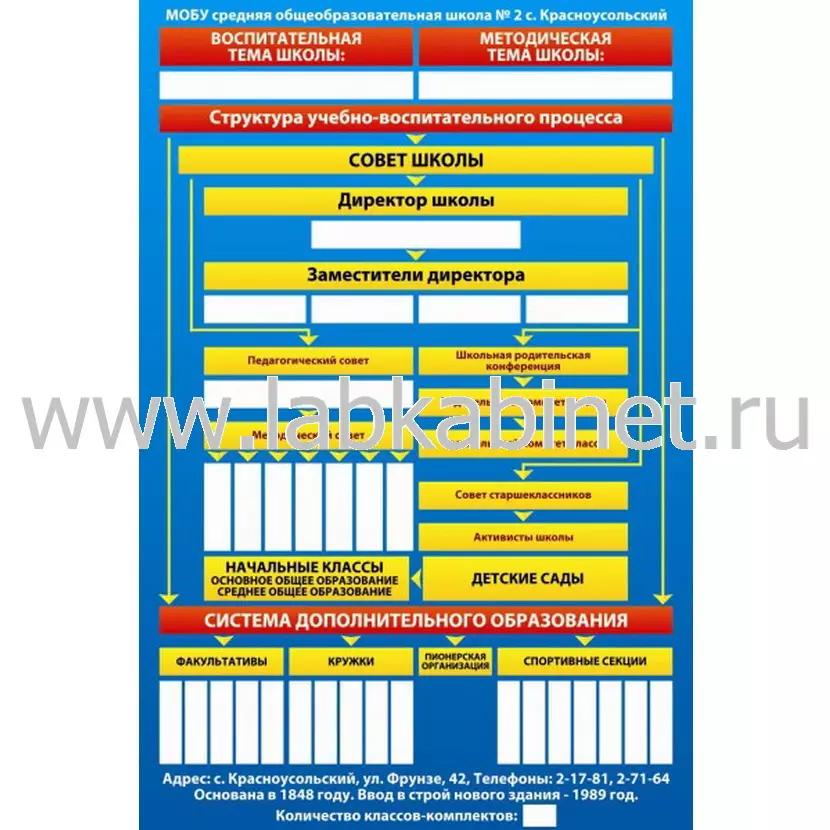 Плакат «Структура школы» 100×150 см для оформления учебного помещения
