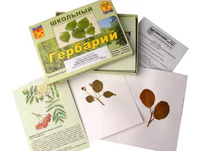 Гербарий   "Систематика растений. Семейство Розоцветные" (раздаточный)
