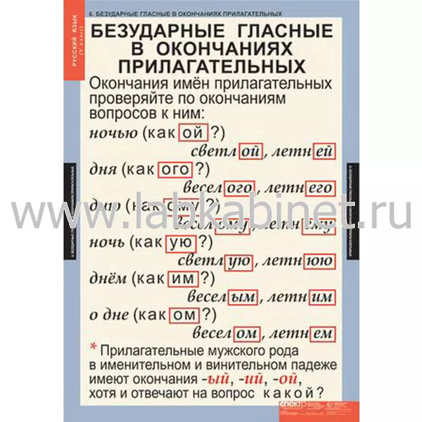 Таблицы «Русский язык» для 5 класса, комплект из 14 таблиц