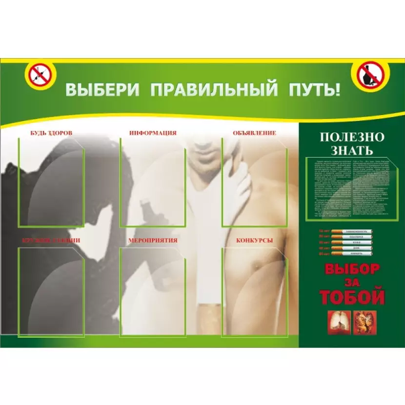 Выбери правильный путь! 1,4х1 , 6 карманов А4