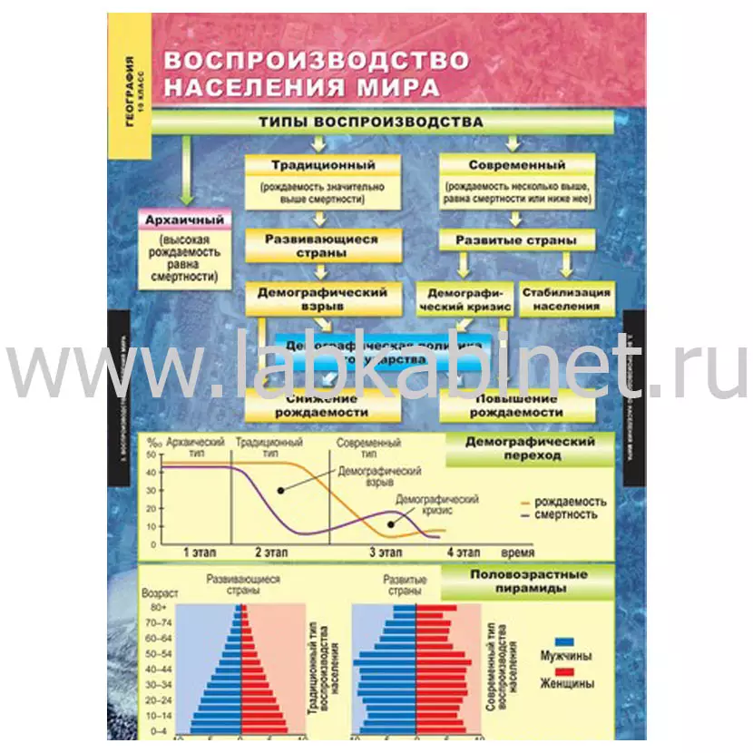 Экономическая и социальная география мира. 10 класс, 12 таблиц