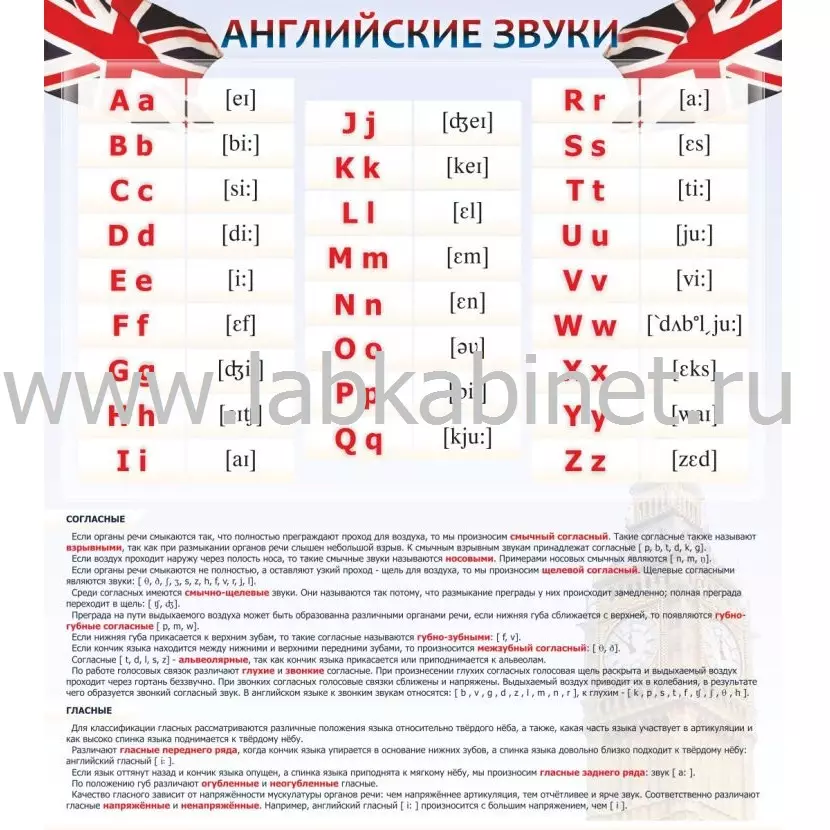 Плакат «Английские звуки» 80×90 см для изучения английского языка