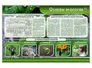 Электрифицированный стенд "Основы экологии"