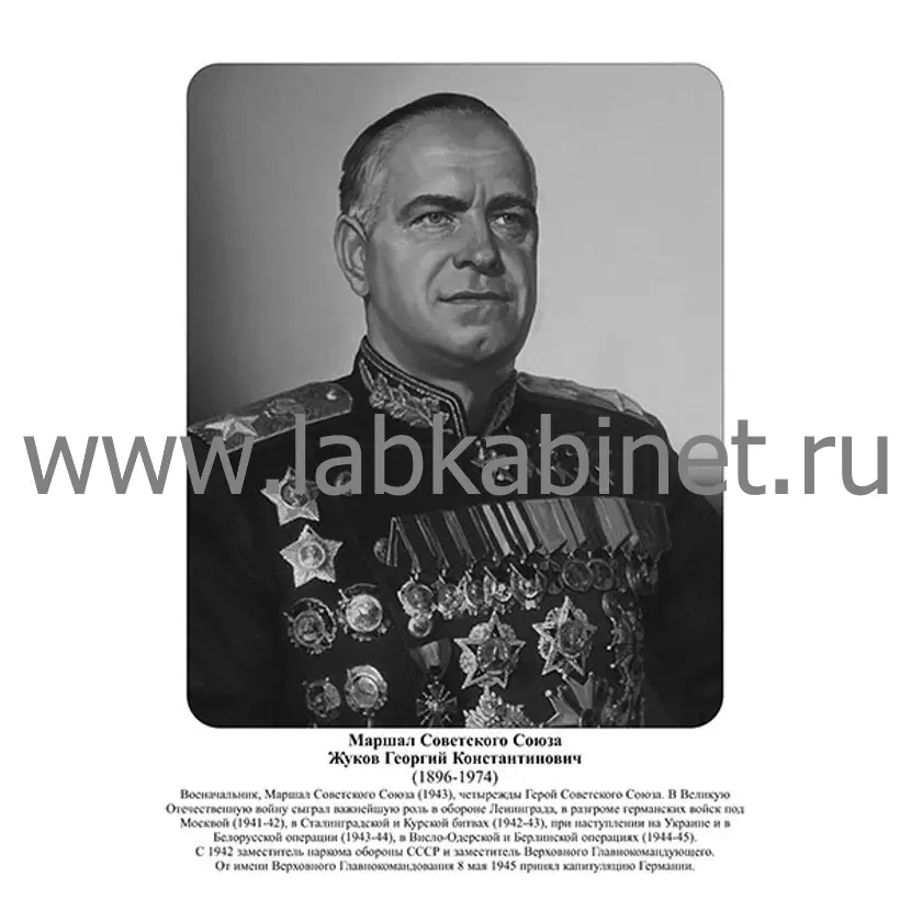 Портрет Георгия Жукова для кабинета истории и изучения Великой Отечественной войны