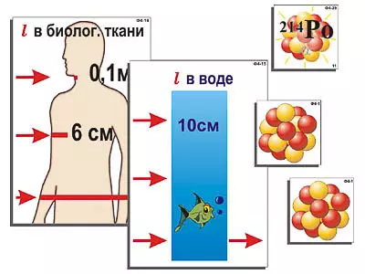 Модель-аппликация   "Явление радиоактивности" (ламинированная)