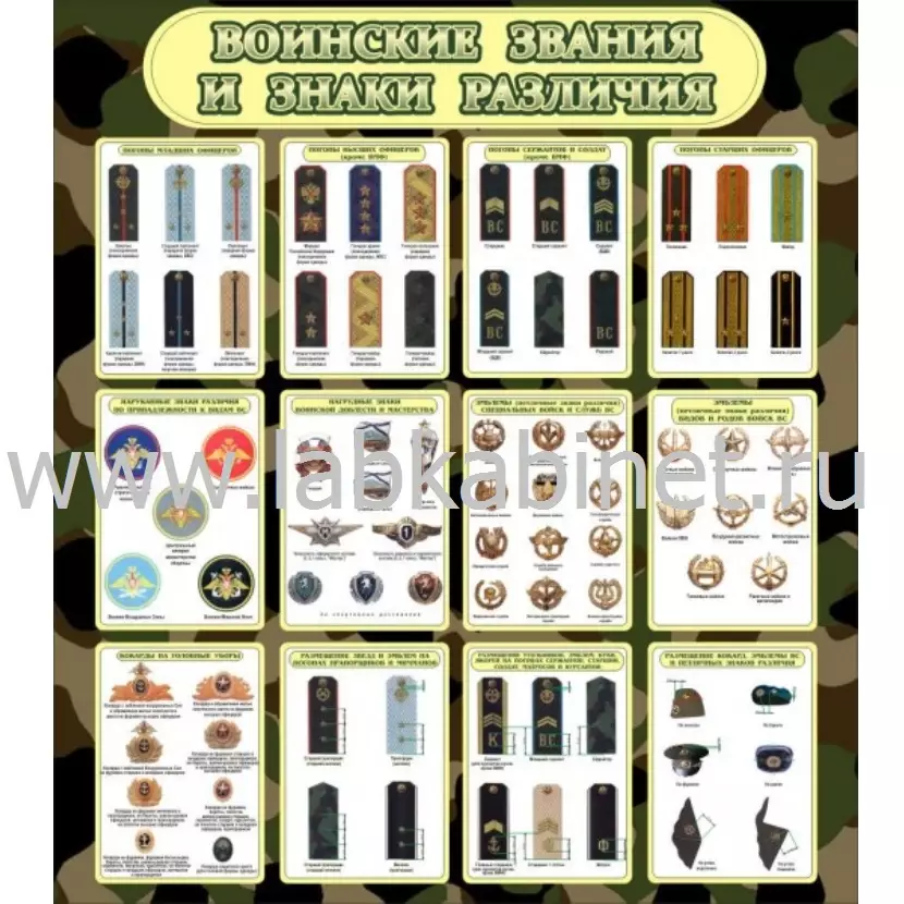 Воинские звания и знаки различия, 0,8х0,9