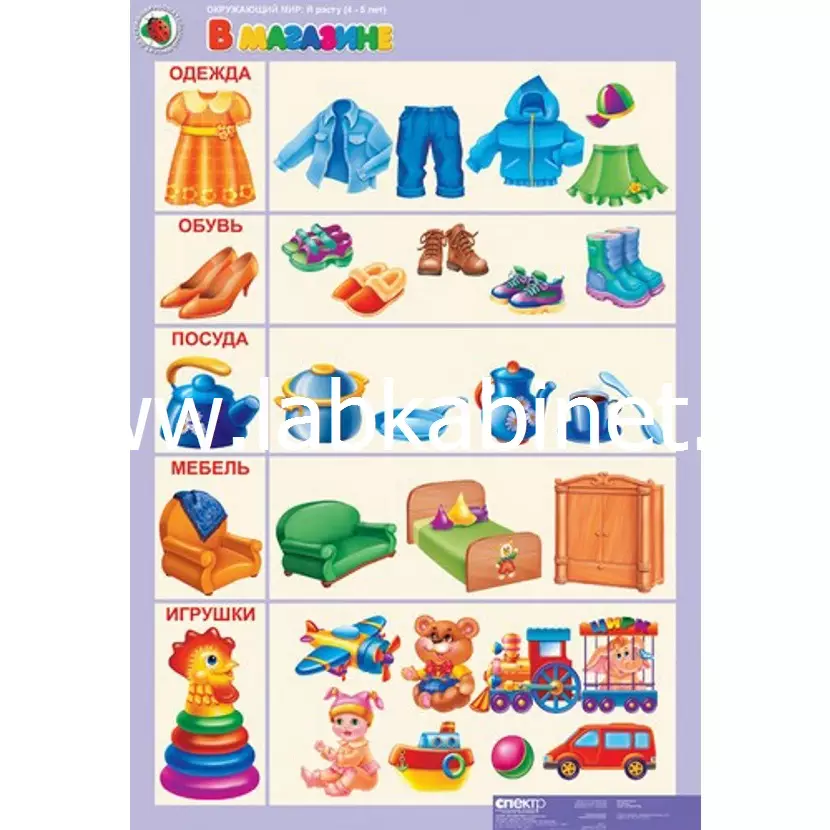"Комплект таблиц Окружающий мир 4-5 лет. ""Я расту"". (11 таблиц+16 карт.) "