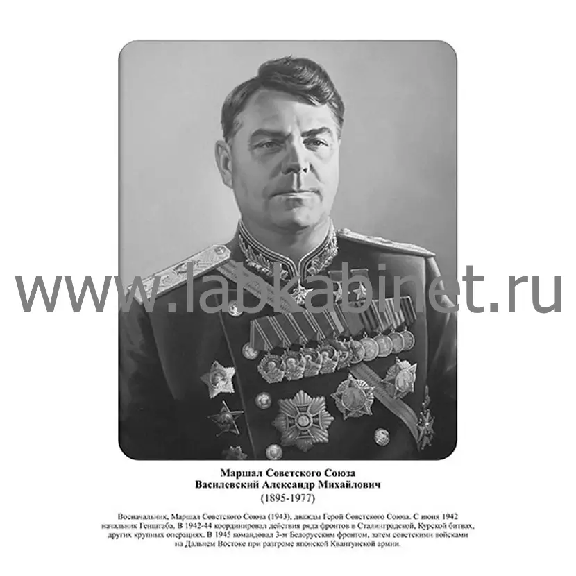 Портрет Александра Василевского для оформления кабинета истории