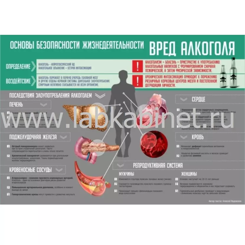 Стенд для кабинета ОБЖ и НВП "Алкоголь", 1,3*0,9