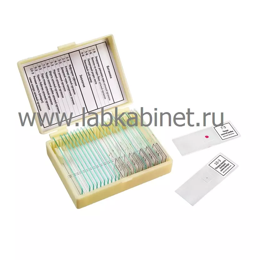 Набор препаратов "Ботаника и зоология" (14 обр.)