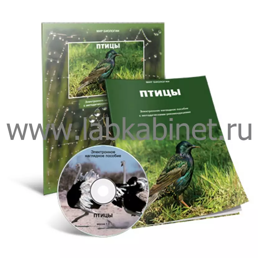 Электронное наглядное пособие «Птицы» для изучения зоологии