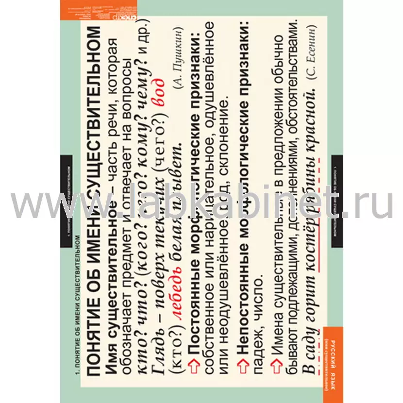 Русский язык. Имя существительное, 7 таблиц
