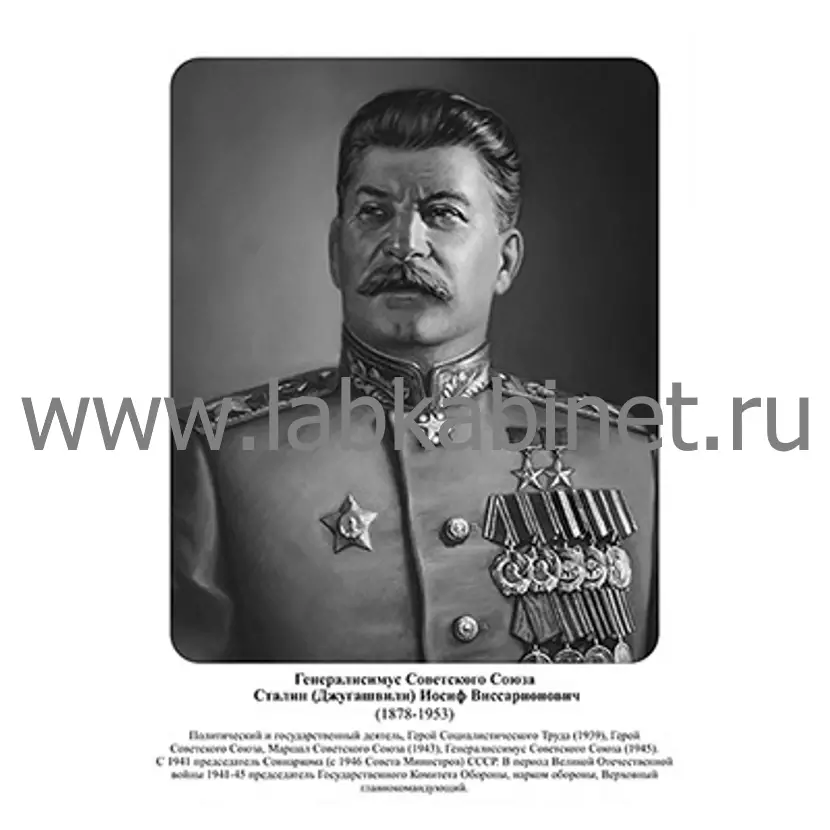 Портрет Иосифа Сталина для кабинета истории и изучения истории СССР