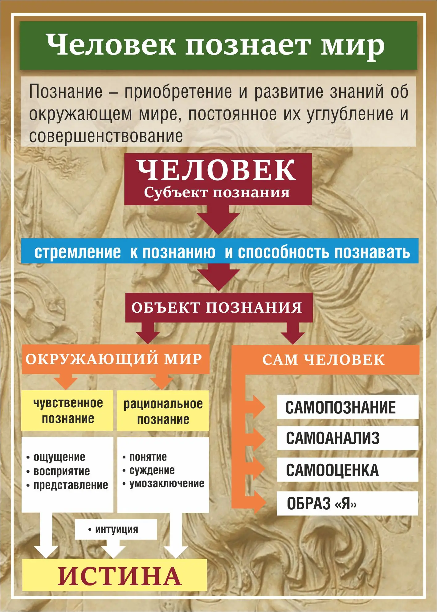 Учебный стенд «Человек познает мир» размером 0,5×0,7 м