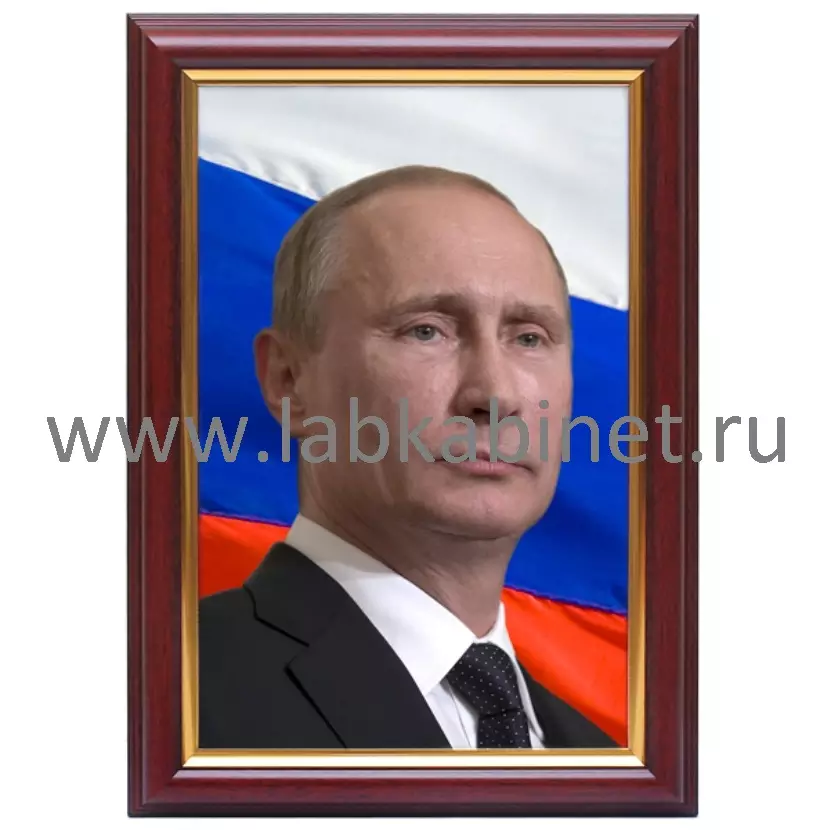Портрет президента Владимира Путина, размер 25 х 35, (размер фото 20 x 30) 