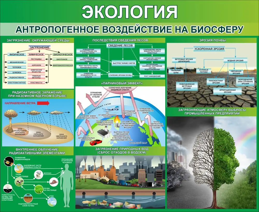 Стенд "Экология Антропогенное воздействие на биосферу" 1.1х0.9