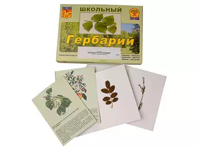 Гербарий   "Деревья и кустарники" (22 вида, с иллюстрациями)