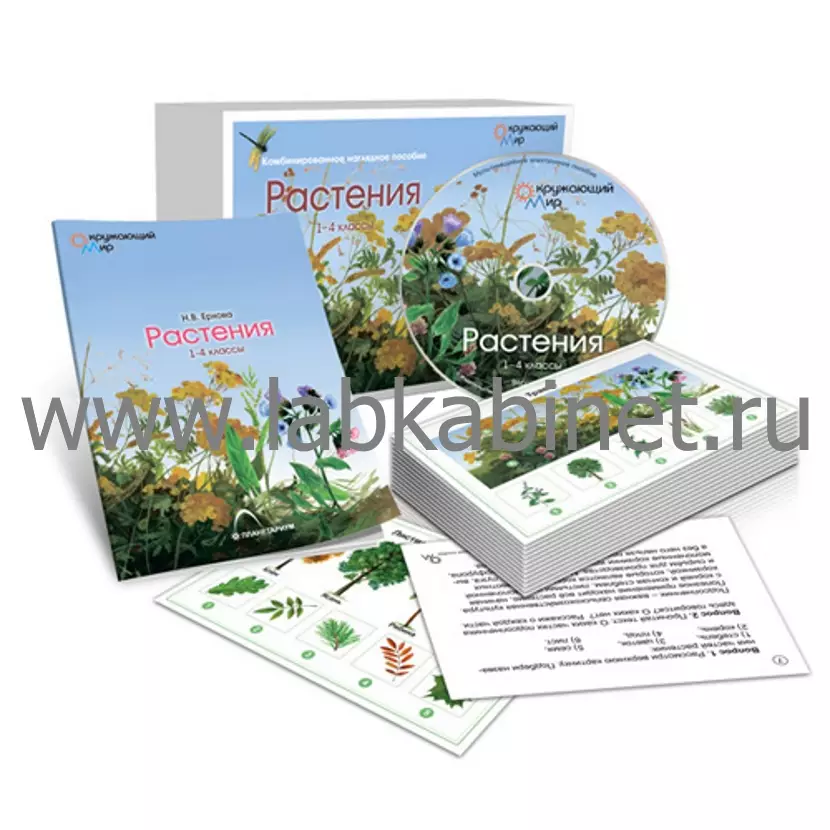 Комбинированное наглядное пособие "Растения"
