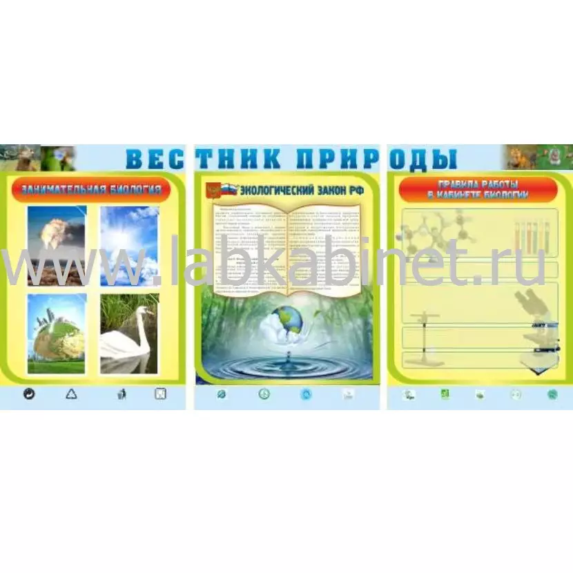 Информационный стенд «Вестник природы» размером 2,1×1,4 м с 4 карманами А4