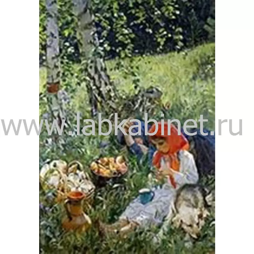 Репродукция картины А. А. Пластова «Русский музей летом», размер 50x70 см