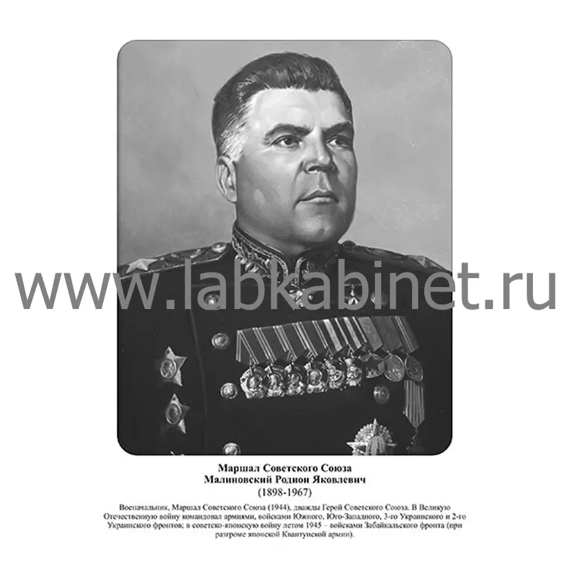 Портрет Родионa Малиновского для оформления кабинета истории
