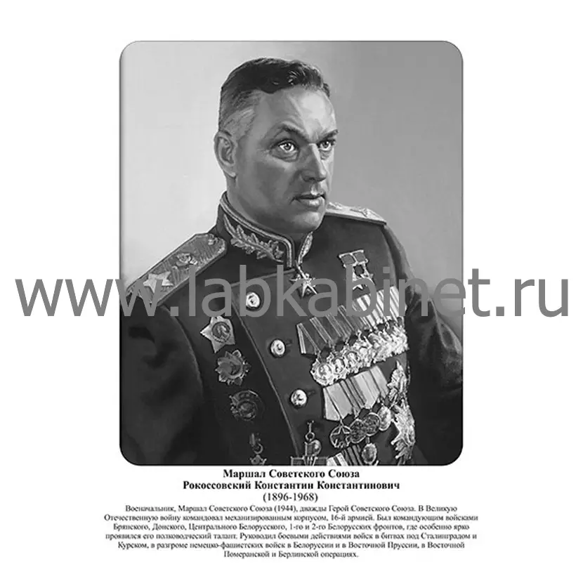 Портрет Константина Рокоссовского для оформления кабинета истории